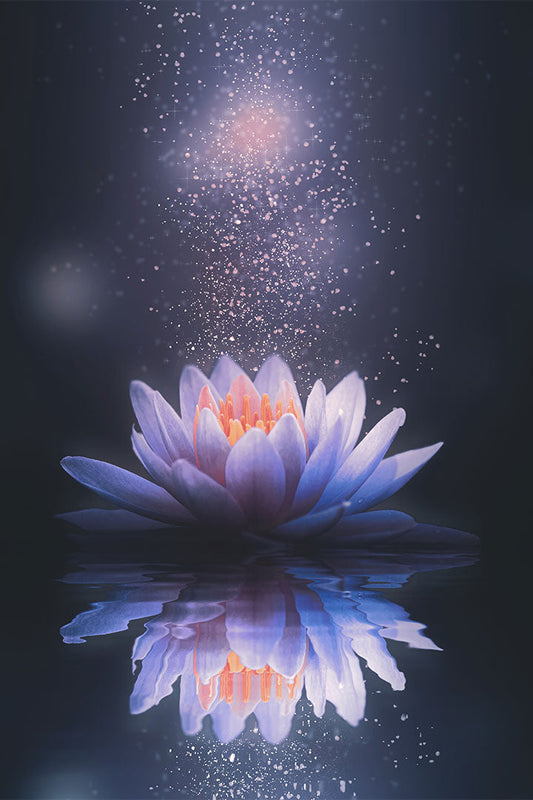 Flor de Lótus